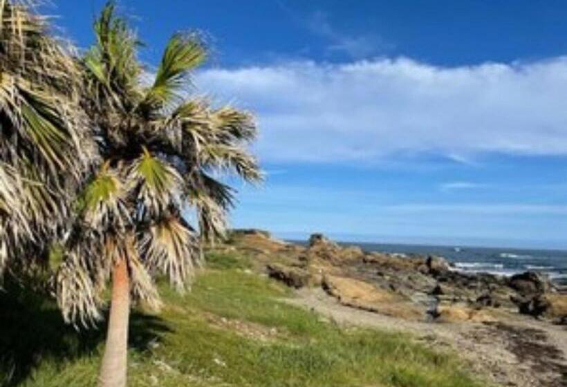 بنسيون Megumistay   Vacation Stay 15662v