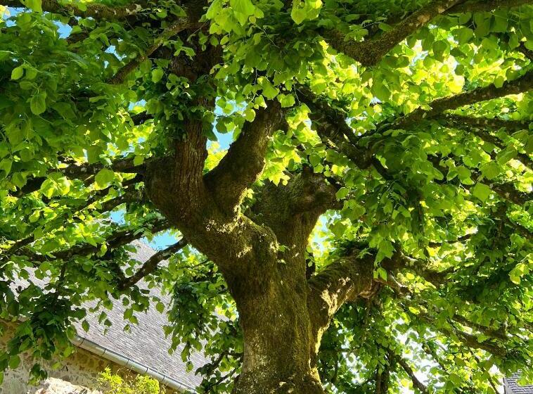 مبيت وإفطار Le Manoir De Jasmine