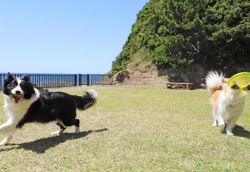 فندق Nanki Shirahama Dog Paradise