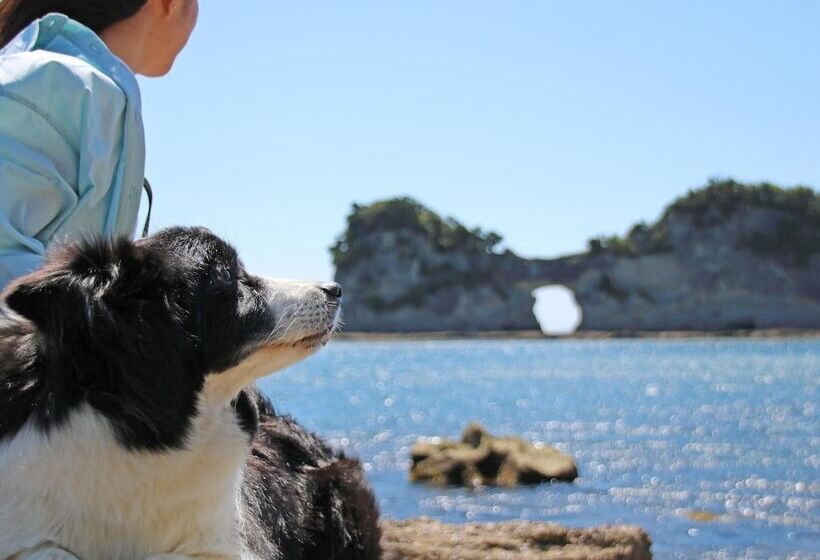 فندق Nanki Shirahama Dog Paradise