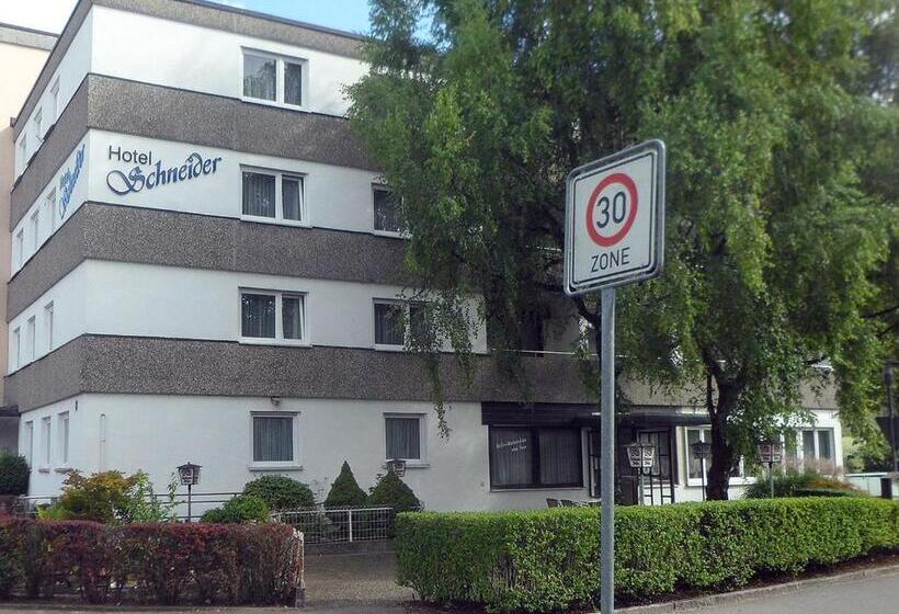 Отель Schneider