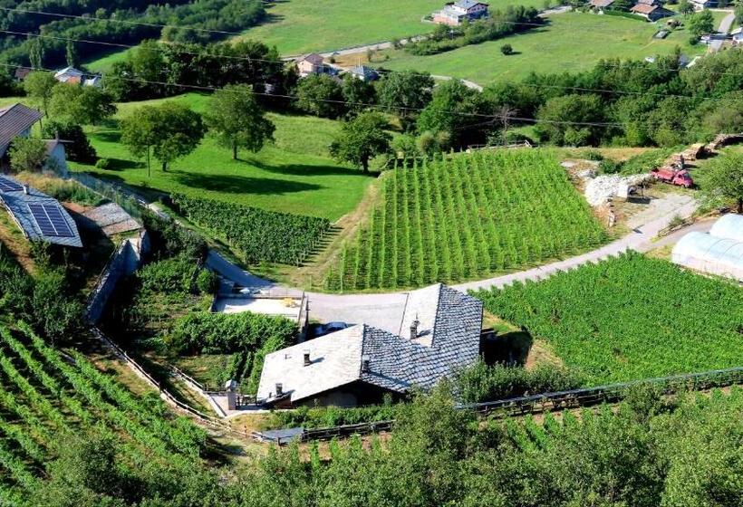 膳宿费 La Vrille   Chambres D Hôtes