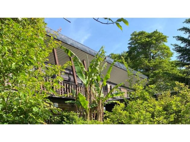 ペンション Space Haku   Vacation Stay 82884v