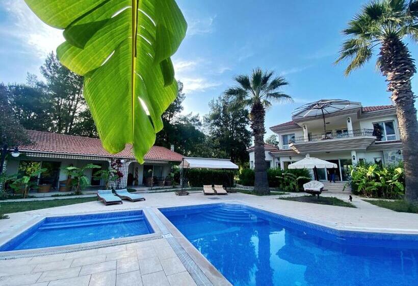 پانسیون Sunyear Guest Houses 1