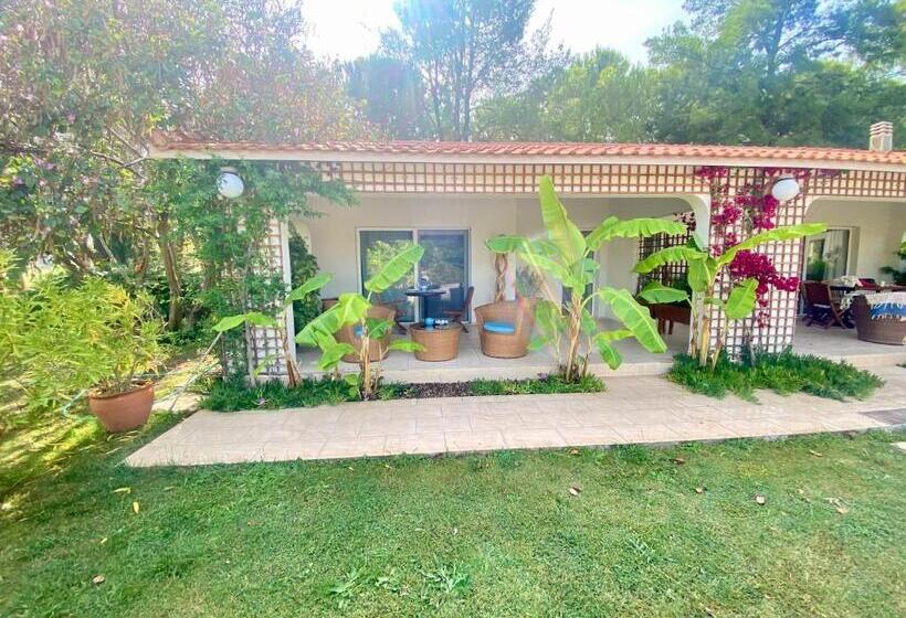 پانسیون Sunyear Guest Houses 1