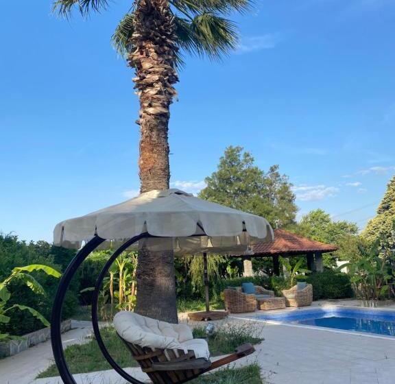 پانسیون Sunyear Guest Houses 1