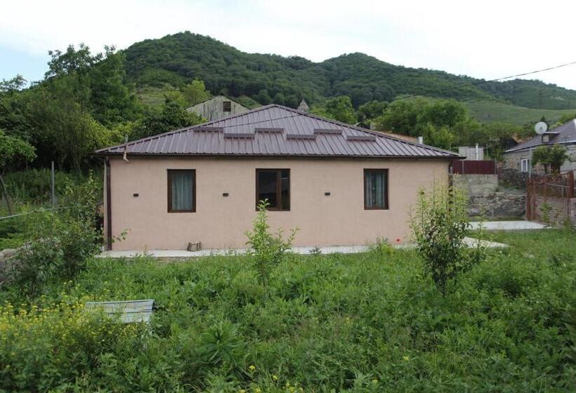 پانسیون Vs Guest House