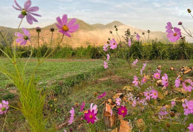 פנסיון Yeongyang Youyoudang Dockchae Hanok