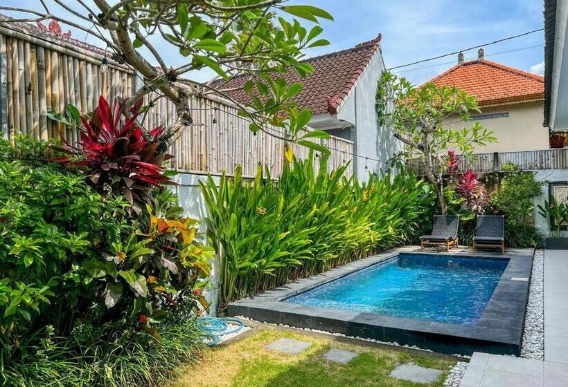 펜션 Island Boy Guesthouse A Prime Location In Canggu