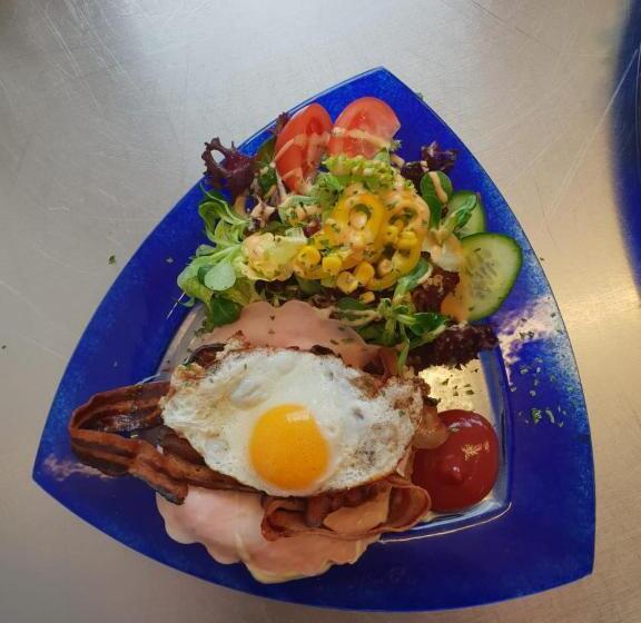 ユースホステル Gästehaus Geigenbauer