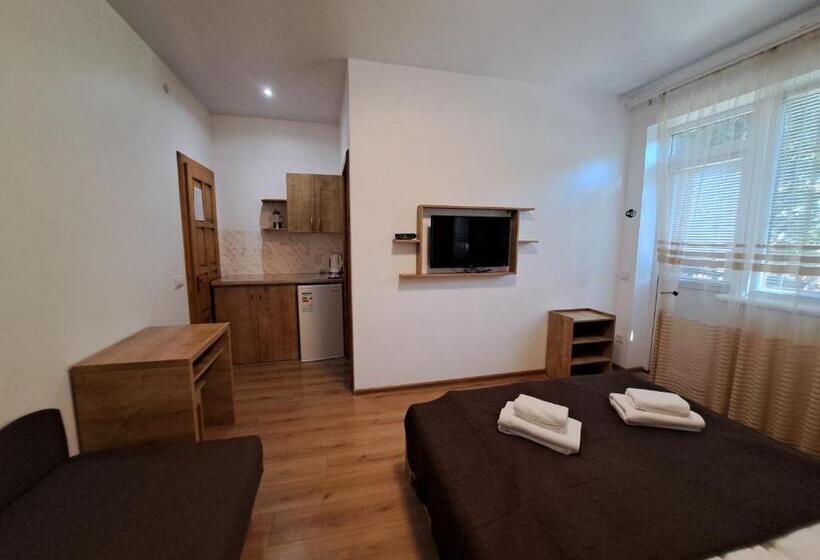 بنسيون Solomiia