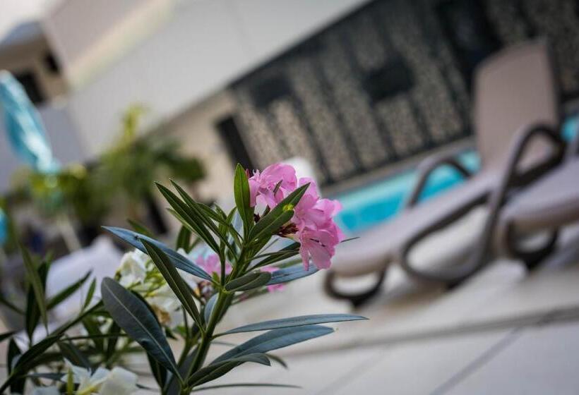Sunset Resort   Lakeside Apartment