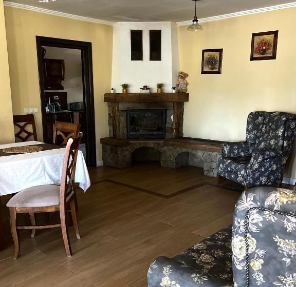Pensiunea Bujor De Munte Colibita