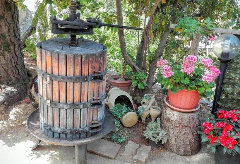 ペンション Affittacamere La Vigna