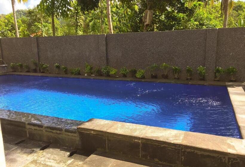 تختخواب و صبحانه Lazy Inn Kuta Lombok