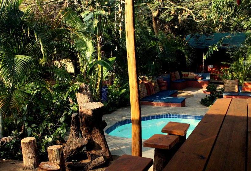 Gala Gala Eco Resort