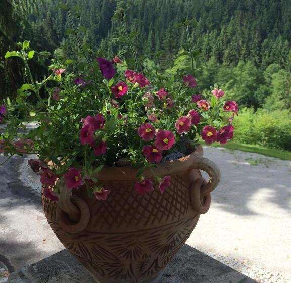 호텔 Hunting Lodge Vitkov