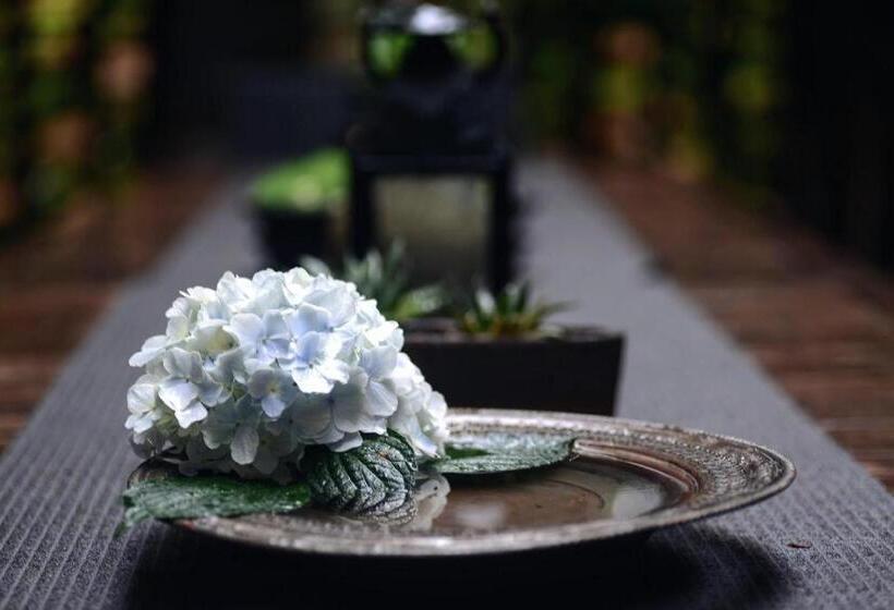 هتل Yakamoz Haijie