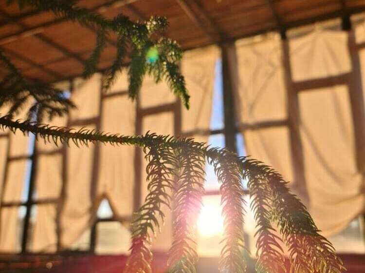 تختخواب و صبحانه Chez Laila