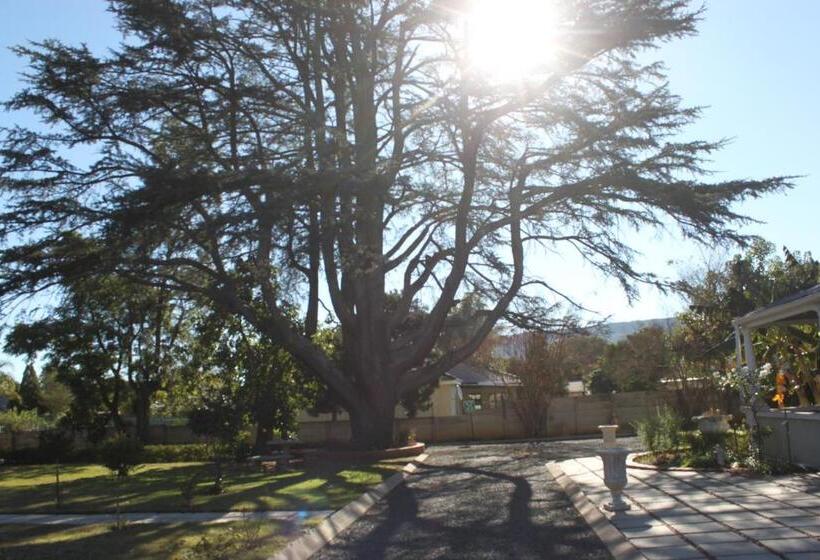 مبيت وإفطار Khaya4u Guesthouse