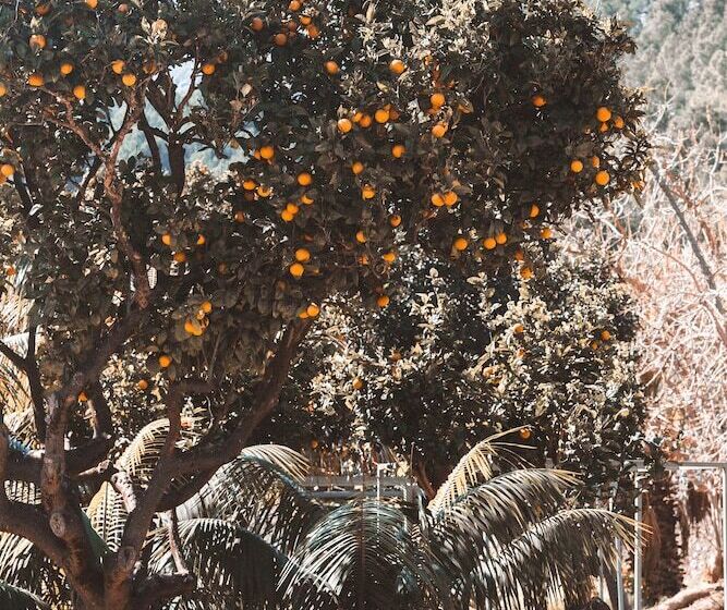 فندق Finca Ca N Ai  Adults Only