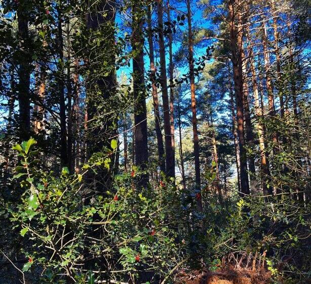 בית מלון כפרי Rural Los Manzanos