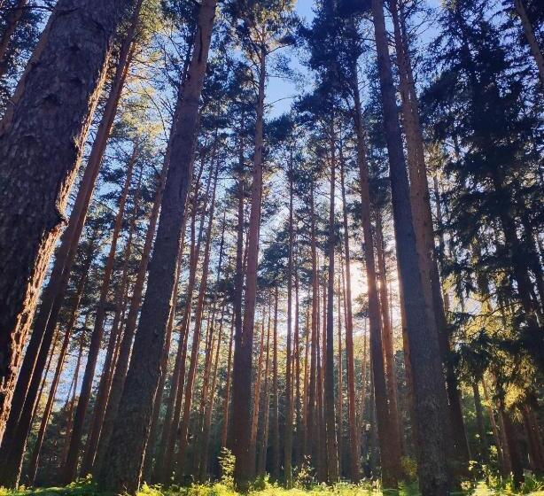 בית מלון כפרי Rural Los Manzanos