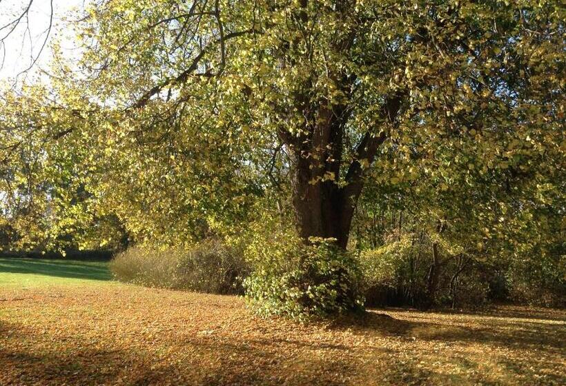 هاستل Nykøbing Falster Vandrehjem