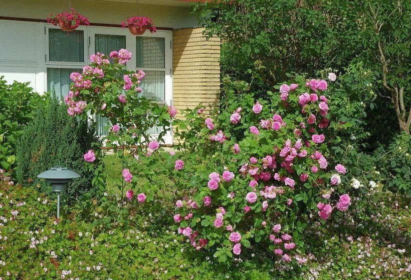 مبيت وإفطار Rosehouse Hillerød Bed And Kitchen