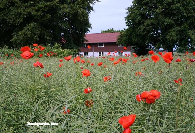 تختخواب و صبحانه Tiendegaarden Møns Klint