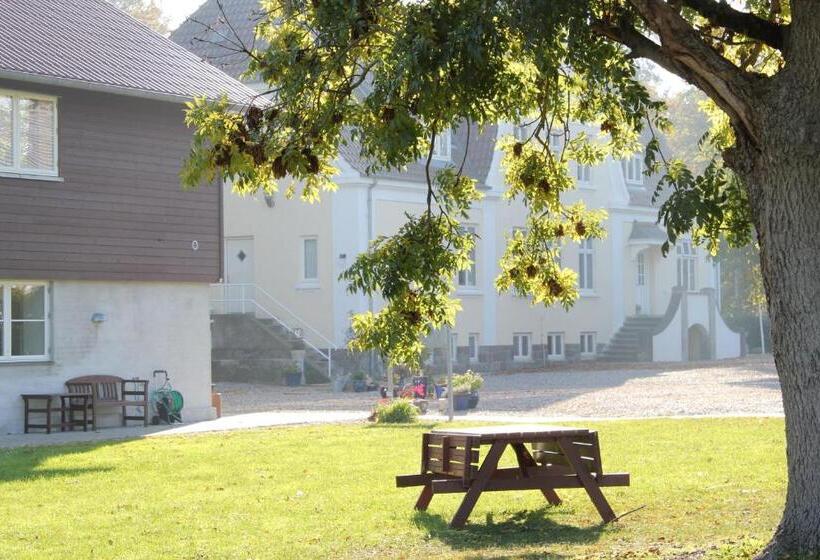 تختخواب و صبحانه Tiendegaarden Møns Klint