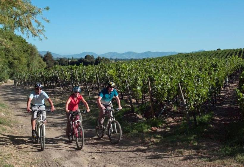 בית מלון כפרי Clos Apalta Residence Relais & Chateaux