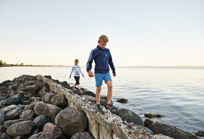 ホテル Danhostel Aarhus