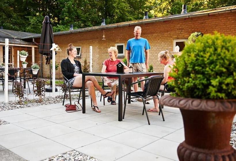 ホテル Danhostel Aarhus