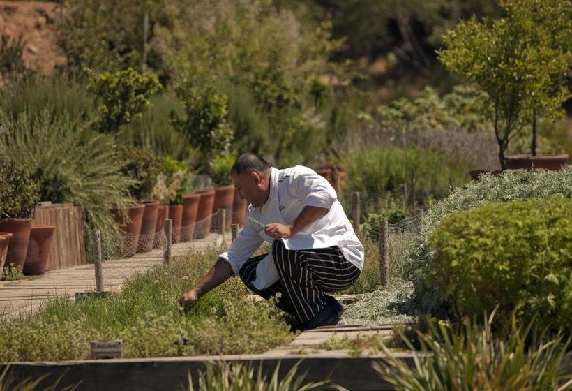 בית מלון כפרי Clos Apalta Residence Relais & Chateaux