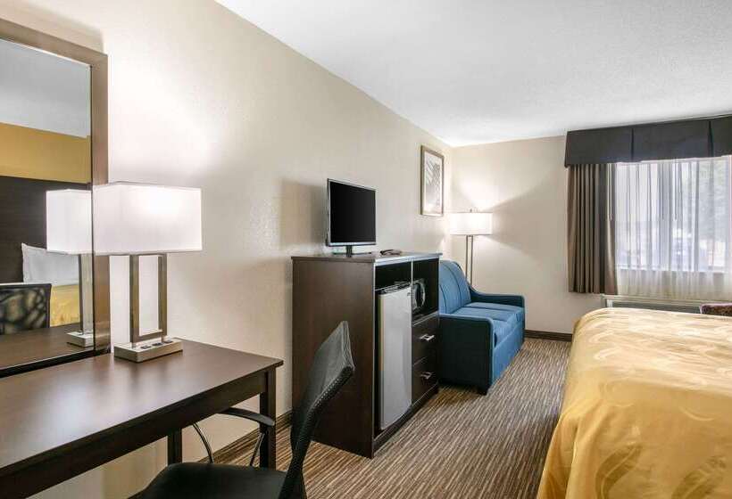 Отель Quality Inn & Suites Metropolis I24