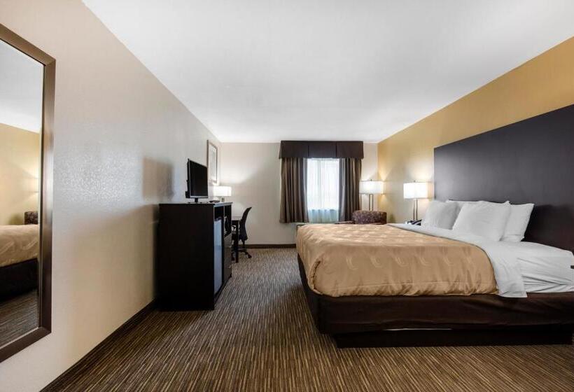 Отель Quality Inn & Suites Metropolis I24