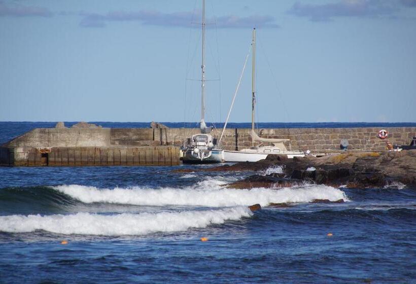 هتل Sandvig Havn