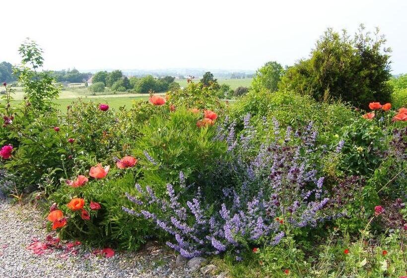 Klintholm B & B Bistro