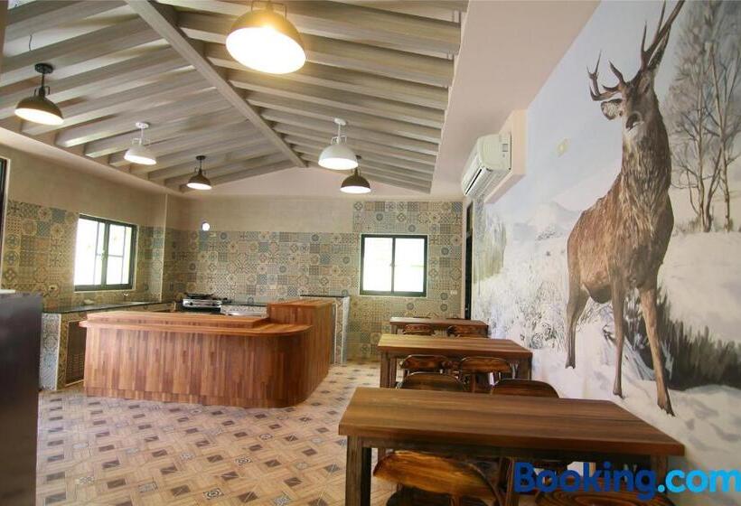 Lian Chinq Diving B&b