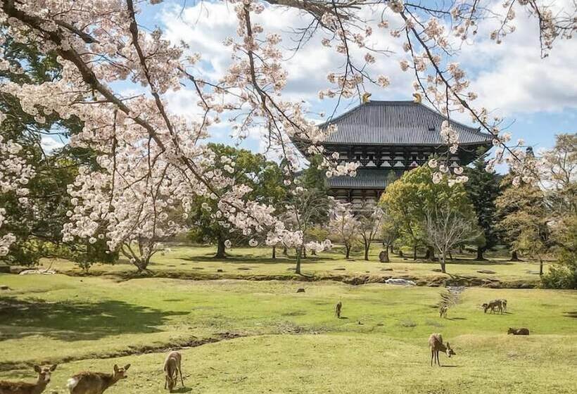 호텔 Nara Visitor Center And Inn