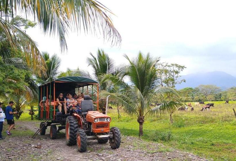 هتل Y Parque Turístico Navar City