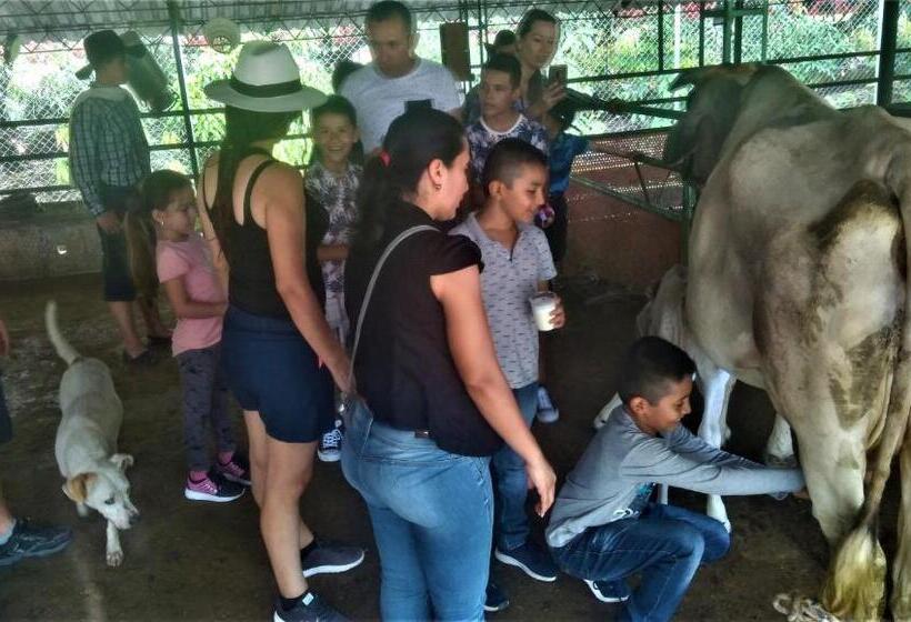 هتل Y Parque Turístico Navar City