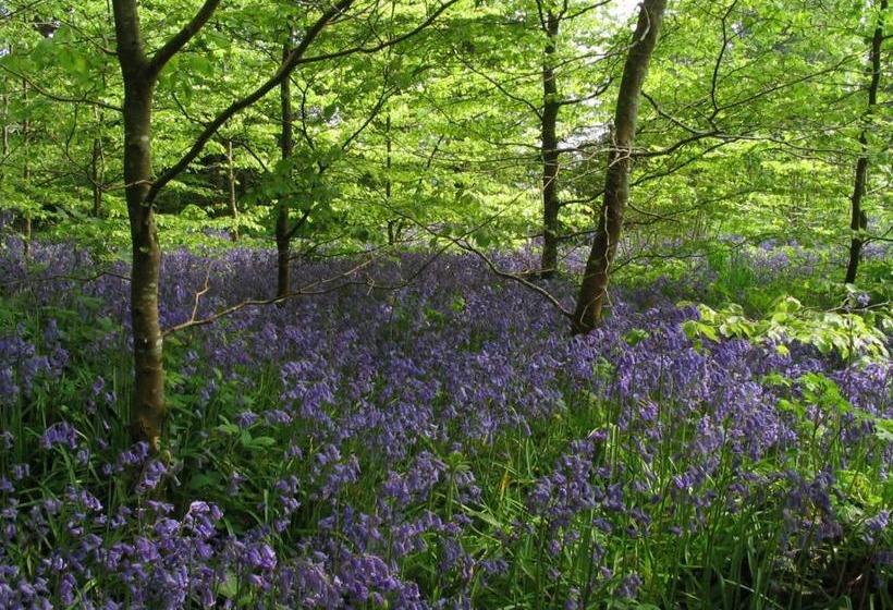 بنسيون Coopershill House