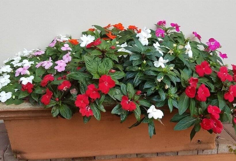 Пансион Ocean Park Guest House
