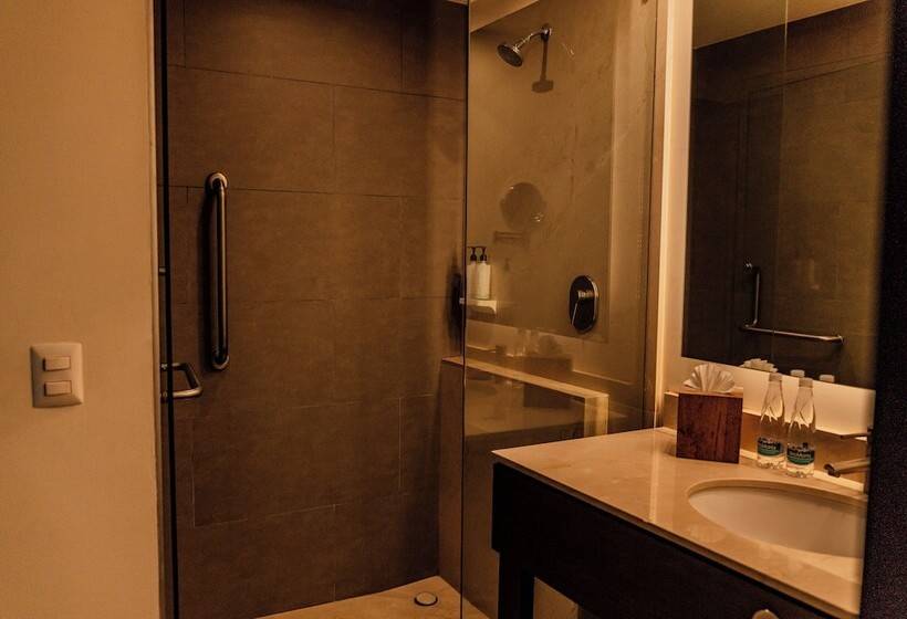 هتل Hampton Inn Celaya Mexico