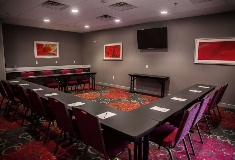 فندق Hampton Inn Pontiac
