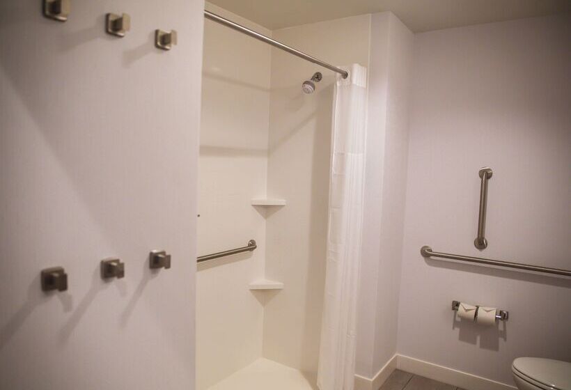 فندق Hampton Inn Pontiac