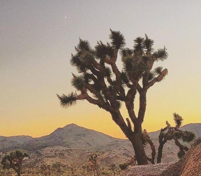 Pioneertown Motel