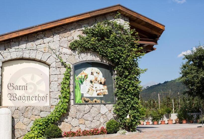 Bed and Breakfast Garni Appartment Wagnerhof